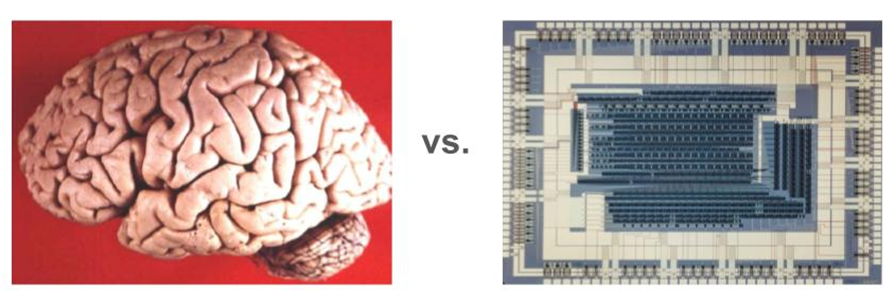 Fig. 7 Two quite different devices for thinking: Brain vs Computer Chip Both pictures Wikimedia Commons, John A Beal, PhD and RbkJnkRt