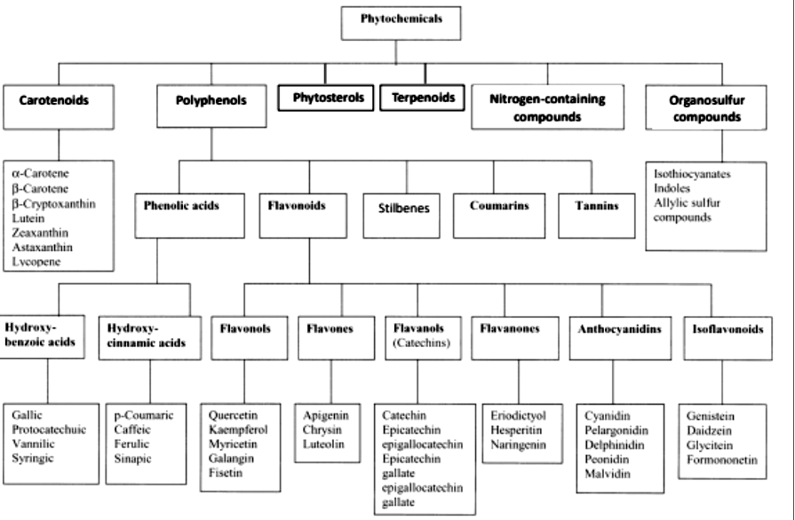What's the science behind the emerging phytochemicals, polyphenols, and