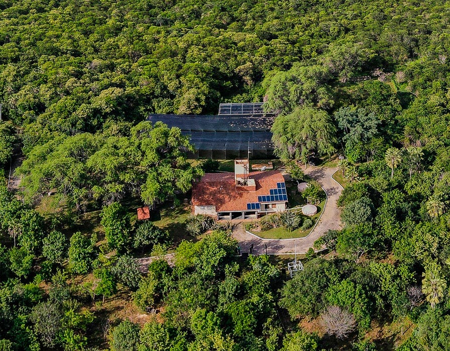 Aula sobre a Caatinga destaca importância da conservação do bioma exclusivamente brasileiro