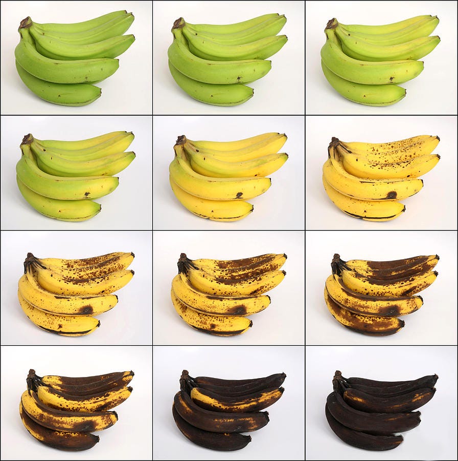 Learn UX with banana. Learning user experience (UX) from a… | by ...