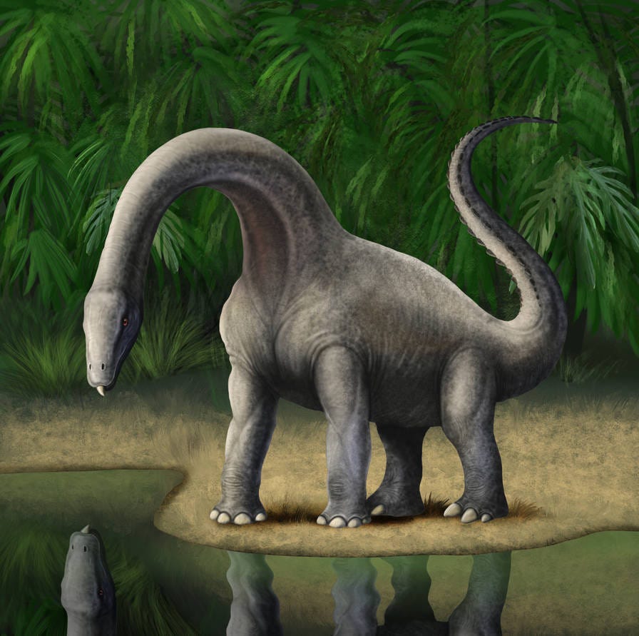 Searching for a Dinosaur Named Mokele Mbembe in the Central