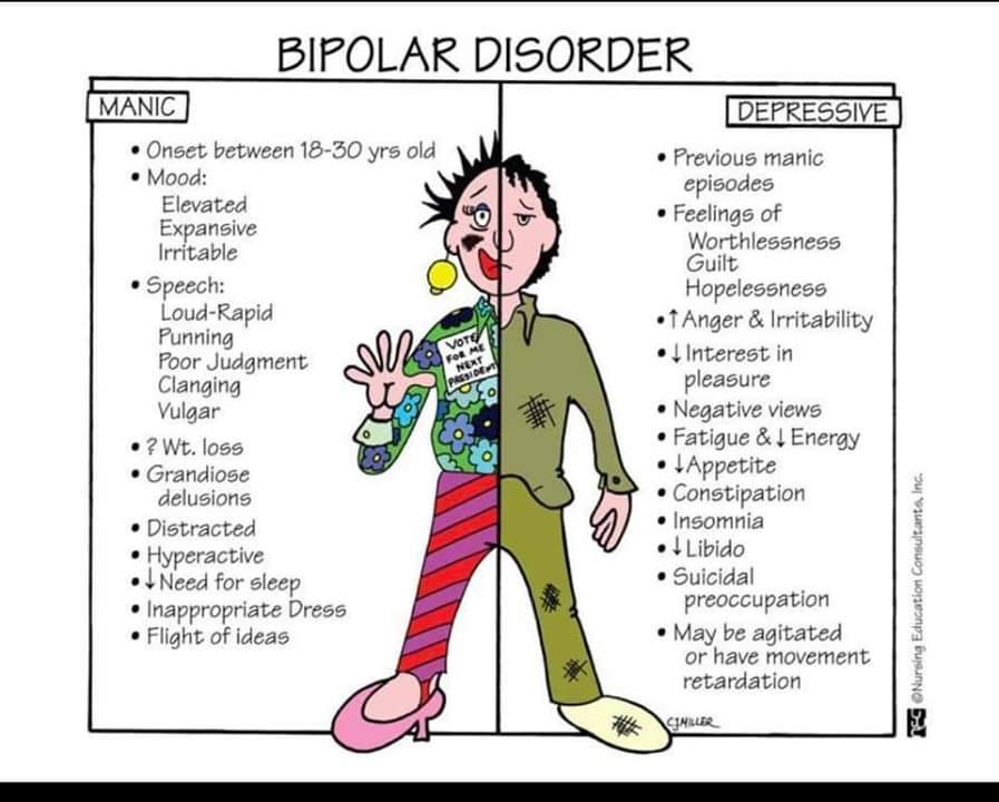 Bipolar Disorder To Understand Bipolar Disorder First By Arushi 