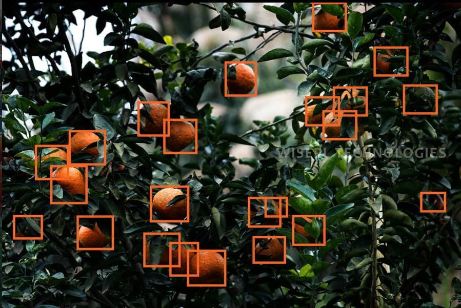 Powering Smart Agriculture with High-Quality Image Annotation