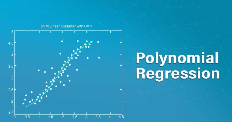 “Polynomial Regression: A Step-by-Step Guide" | Medium