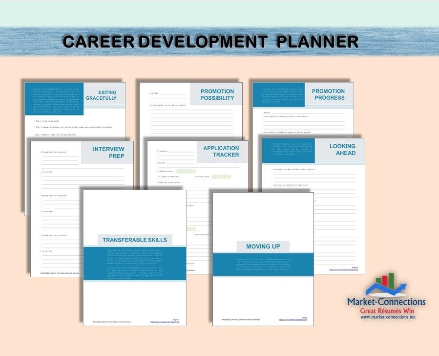 Career Development Planner. An effective strategy for professional