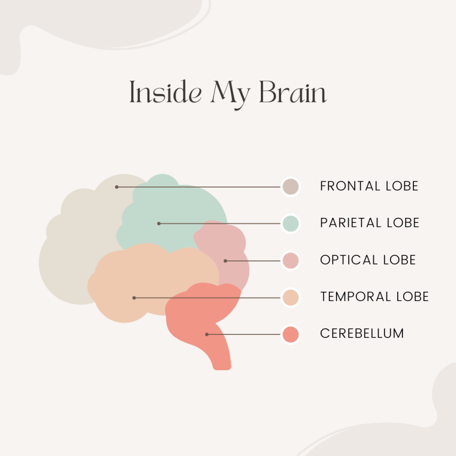 Why do we dream?. A dream is a succession of images… by