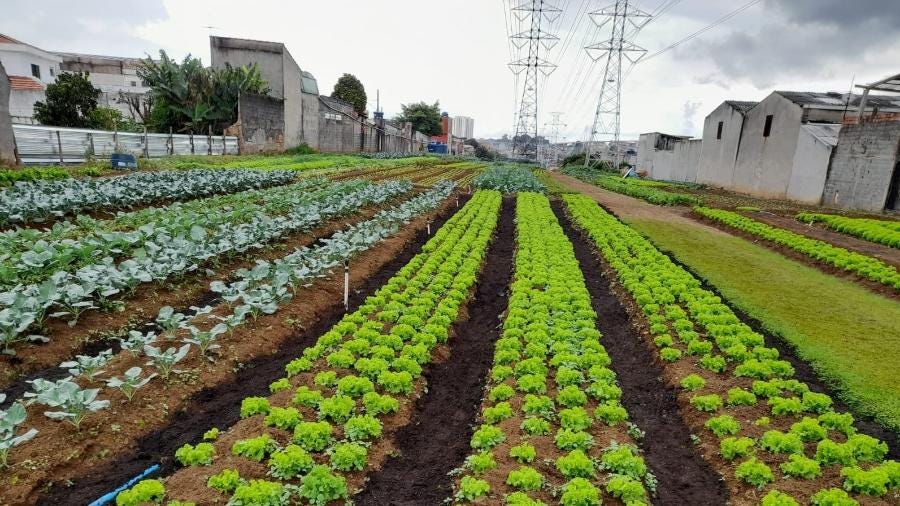 📣 Comunicado do GEMA aos Inscritos — Junho de 2025
 Grupo de Estudos Independente de Meio Ambiente
