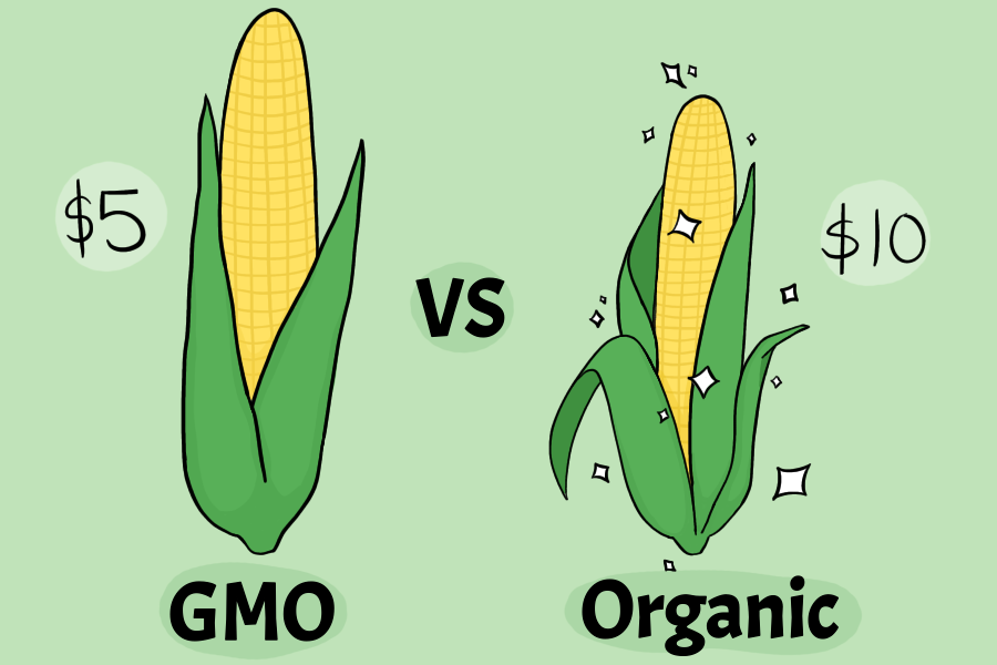 Organic vs GMO Which is better?. Imagine walking into the supermarket