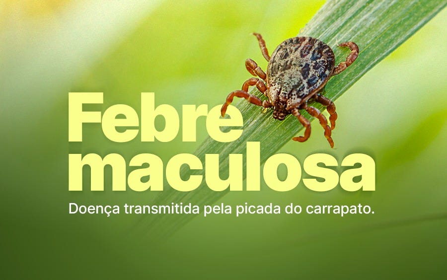 Febre Maculosa: Uma Doença Infecciosa Emergente com Desafios Diagnósticos e Terapêuticos