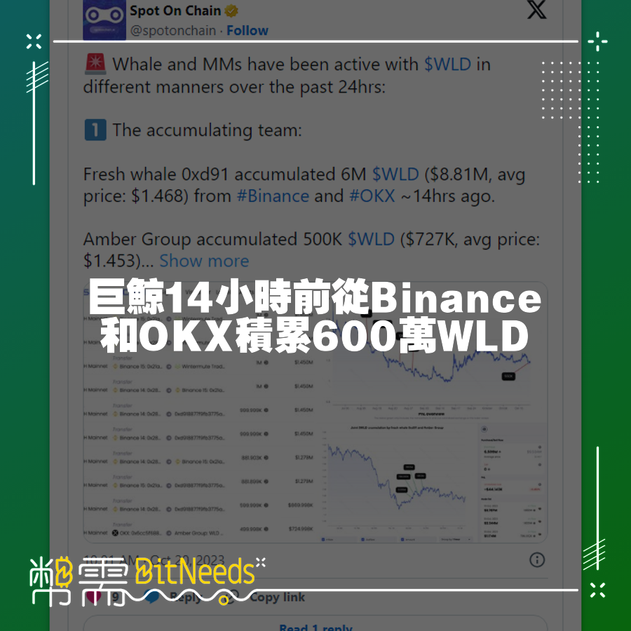 巨鯨14小時前從Binance和OKX積累600萬WLD