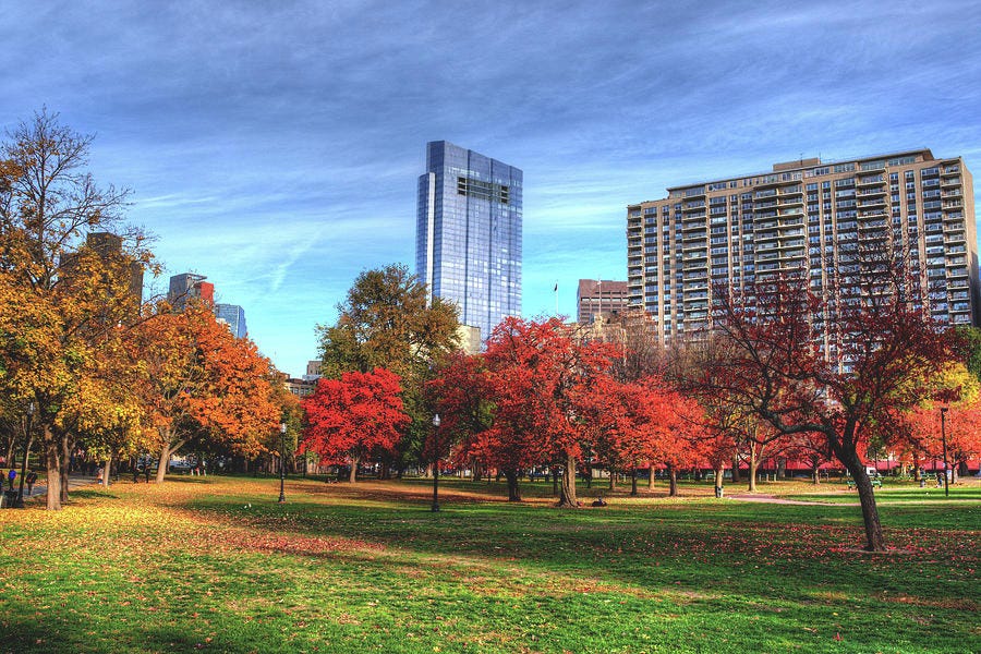 Boston Common Autumn Trees Boston MA is a photograph by Toby McGuire which was uploaded on November 11th, 2016.