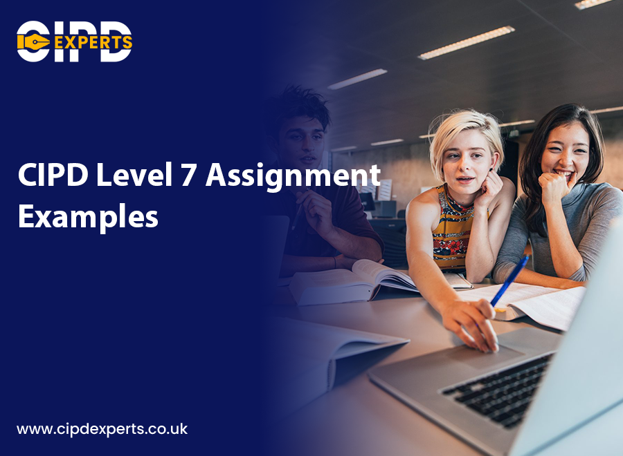 CIPD Level 7 Assignment Examples From The CIPD Experts — CIPD Expert ...