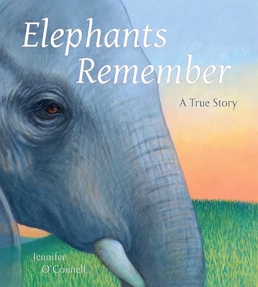 Elephants Never Exploring the Remarkable Memory of These
