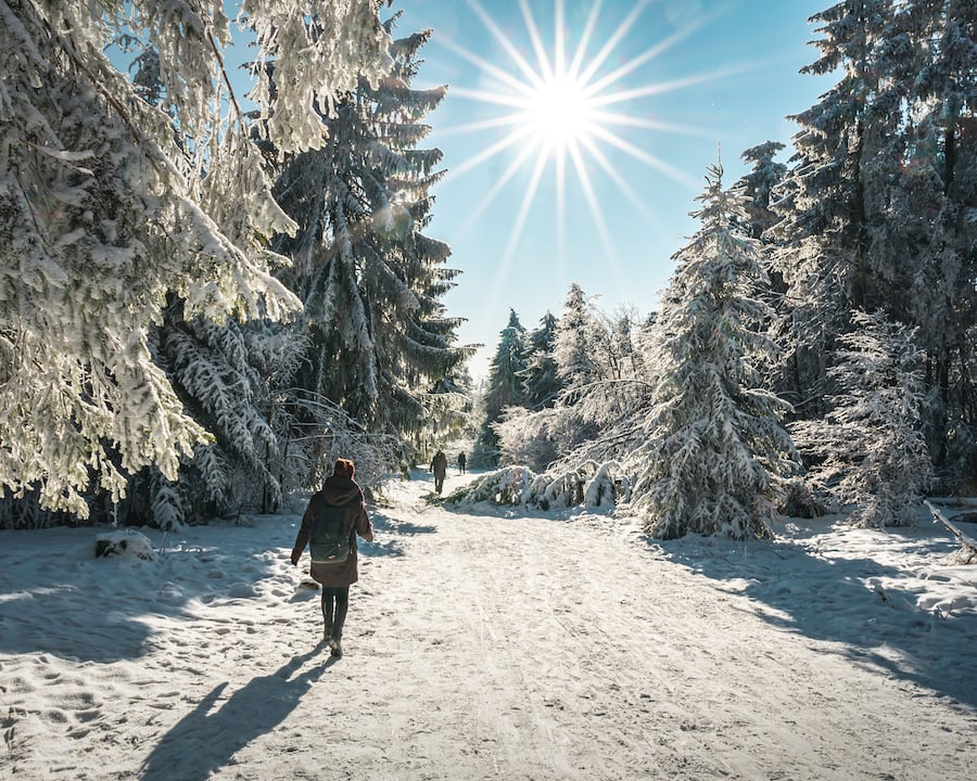 An Energizing Winter Walk Through a Sparkling Snow Covered Forest is Pure  Magic, by Joyce Nielsen, Reciprocal