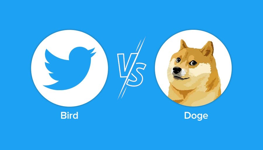 Bird vs Doge The Story Behind Twitter’s Controversial Logo Change by(00)