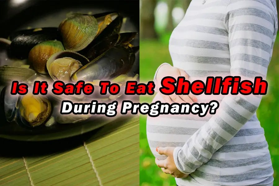 Can you eat shellfish when you’re pregnant? by Hipregnancy Oct