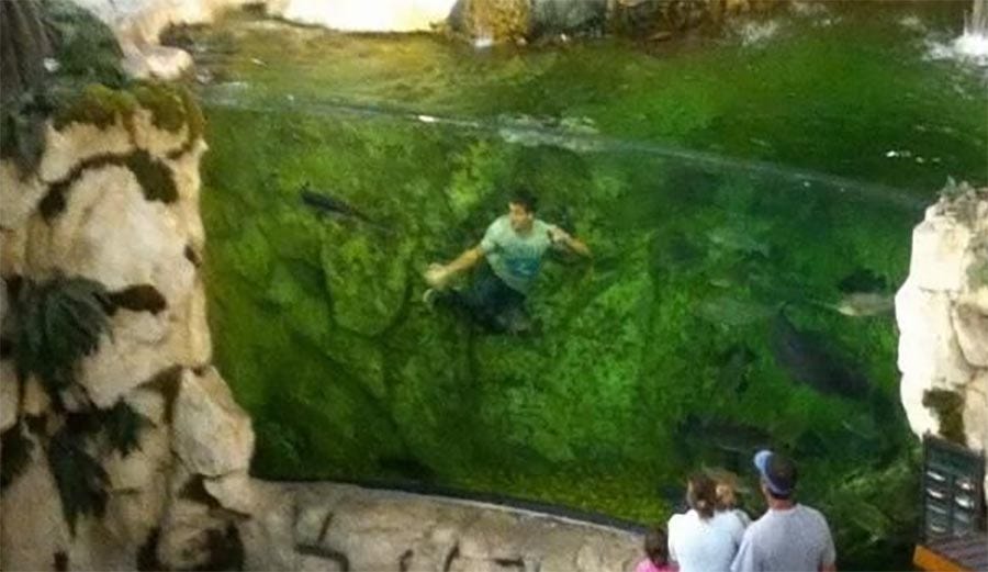 Naked Man Jumps Into Giant Aquarium at Bass Pro Shop: A True Story