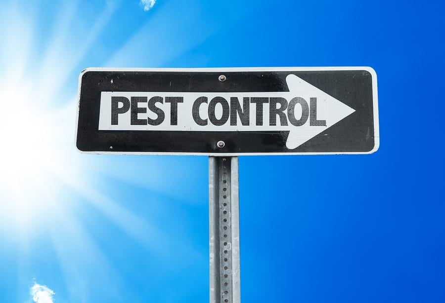 Is Professional Pest Control Worth It? by Jones Bros Pest Control, Inc. Medium