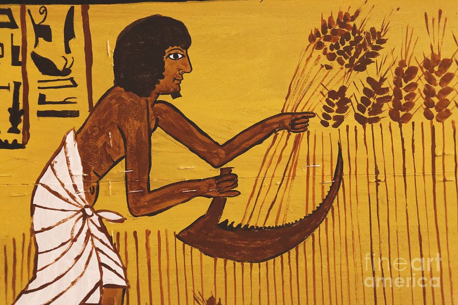 from-the-riches-of-the-nile-to-the-wonders-of-the-pyramids-the