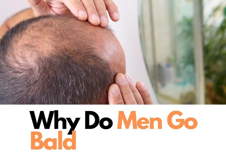 Why Do Men Go Bald?