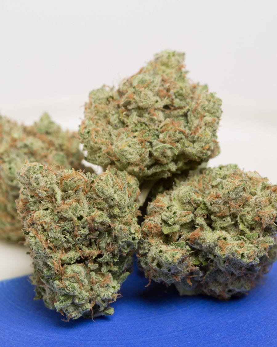 Weed Dispensary Portland. Weed Dispensary Portland by Serra