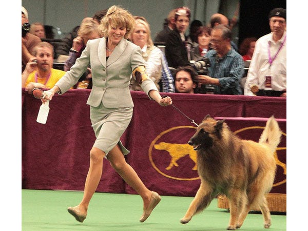 They’re Wearing What? Dog Show Handlers Edition