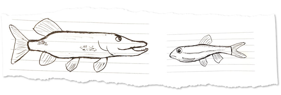 The Pike & The Minnow: Why We Keep Obsessing Over Mediocre “Best Practices”, by Jay Acunzo