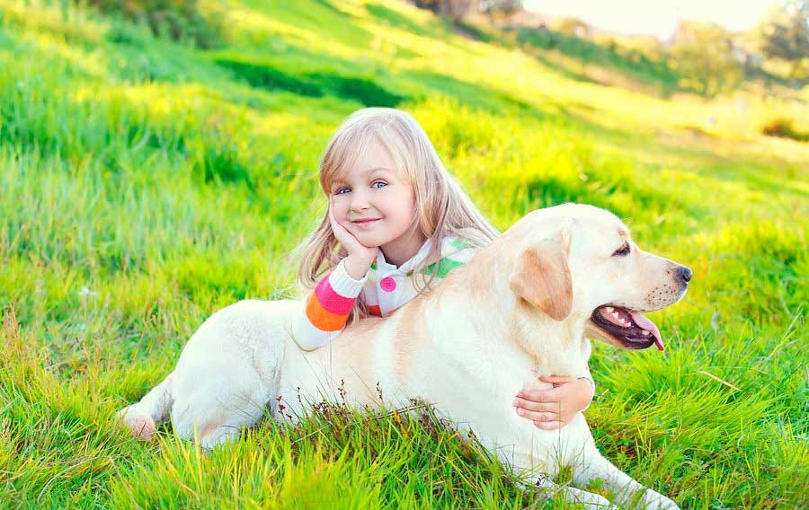 Top 3 Dog Breeds for Kids. Dogs Our Best Companions | by Adeel Shafqat ...