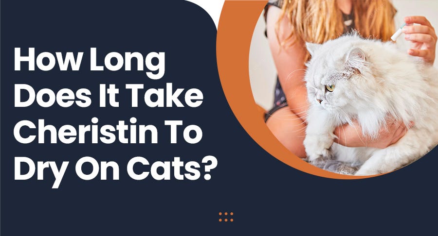 Beautiful view of Cat Flea Treatments For Scratching