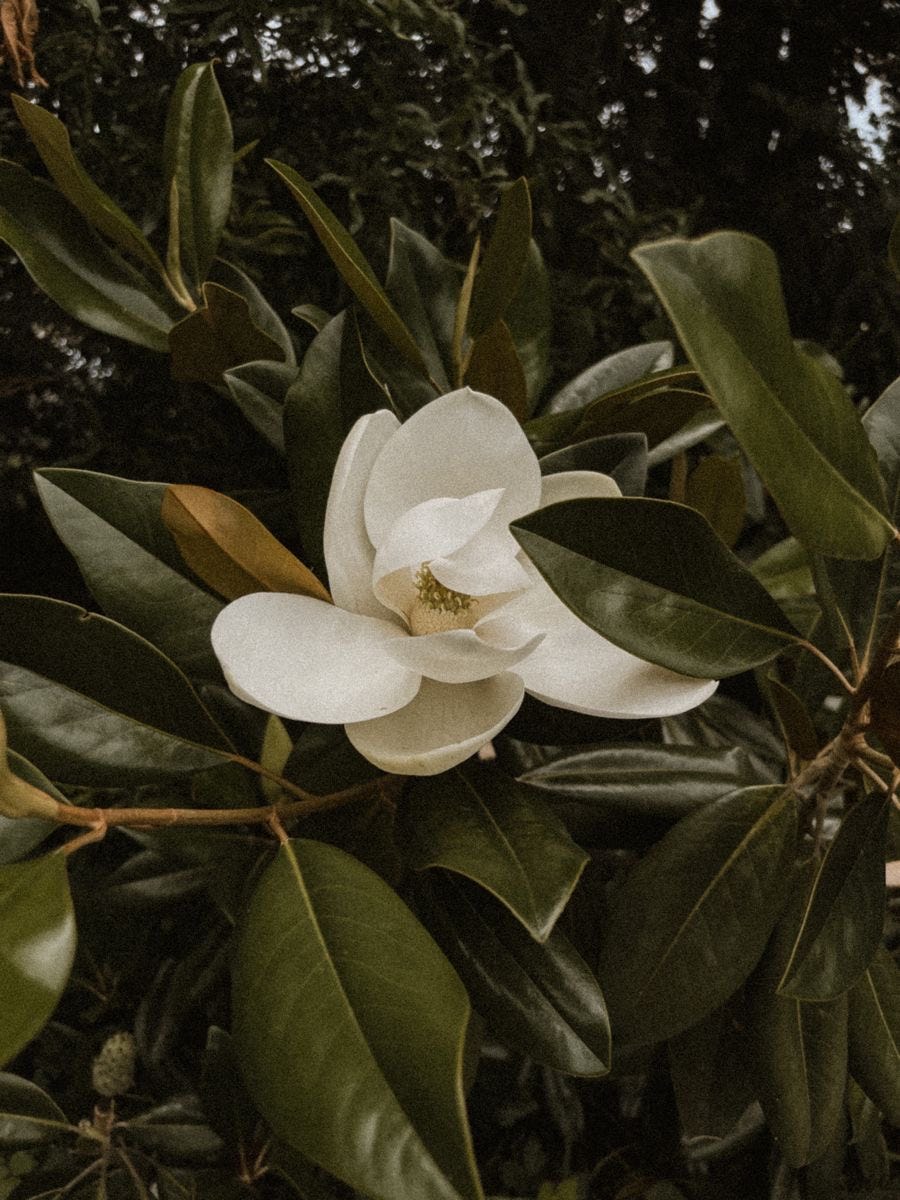 Why Wellness & Beauty Brands Cannot Afford Generic Design