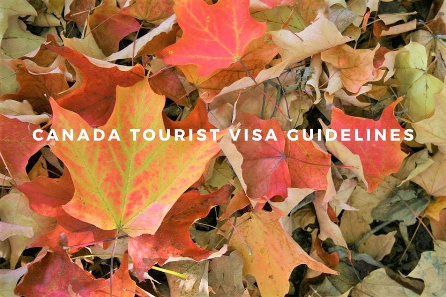 Navigating the Maple Leaf Route: A Comprehensive Guide to Canada Visa 
