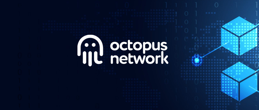 Octopus Network Exclusive Team Interview: The Early Days Of An Appchain 