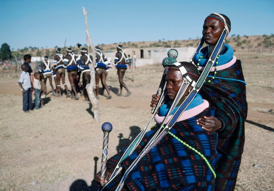 Why 30×30 would be the worst possible outcome of COP15