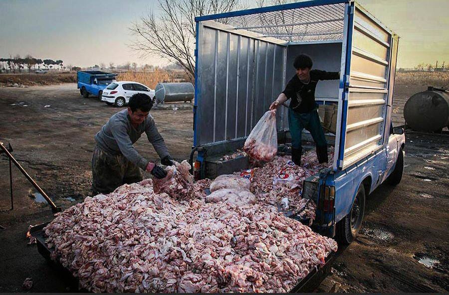 How Iran’s Food Subsidies End Up Fueling European Cars