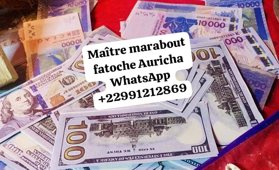 Comment faire le vrai portefeuille magique sans consequences +229 91 21