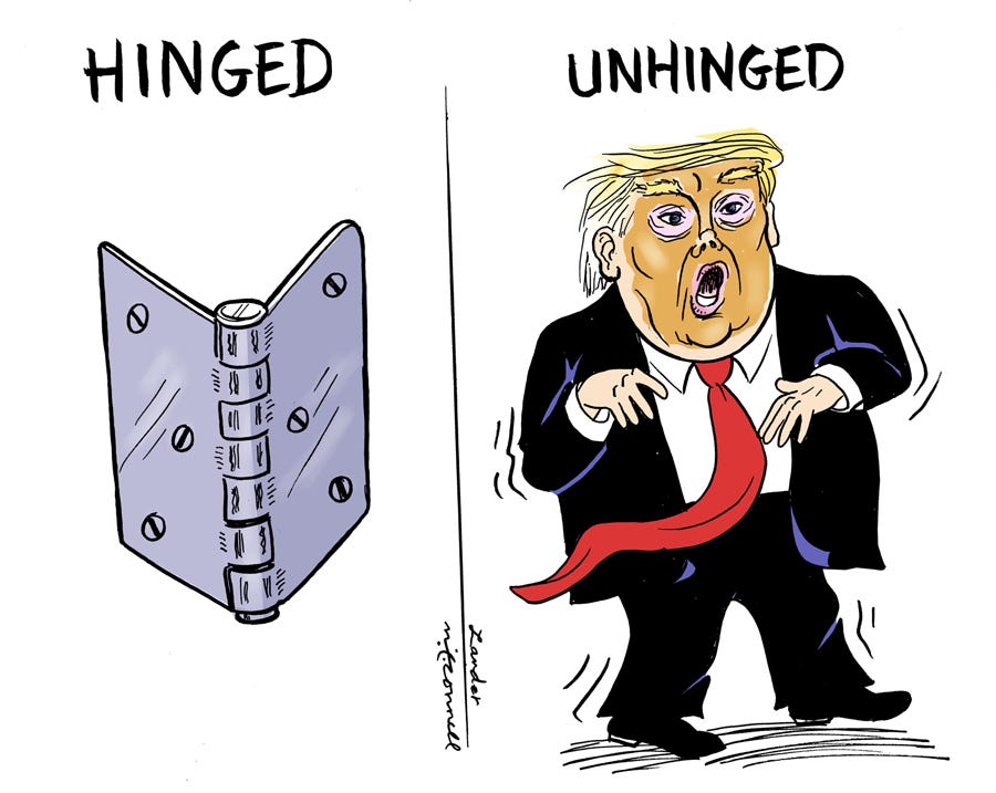 TrumptoEnglish / EnglishtoTrump Dictionary Doctor Funny Medium