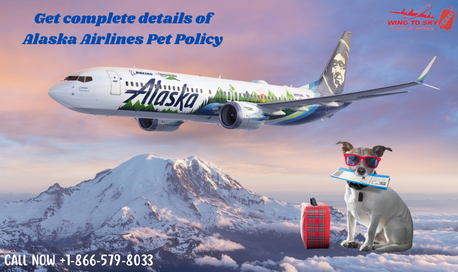 Alaska Airlines Pet Policy WingtoSky by Wingtosky Medium