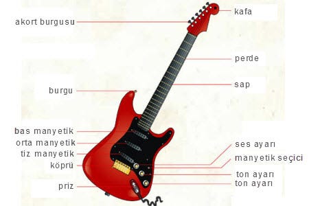 Temel Gitar Türleri ve Özellikleri | by Guitar Class 101 | Medium