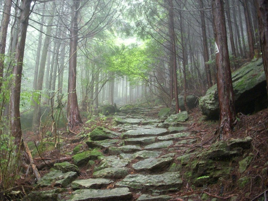 Straight Paths. The Proverbs section of my One-Year… | by Ben Davenport ...