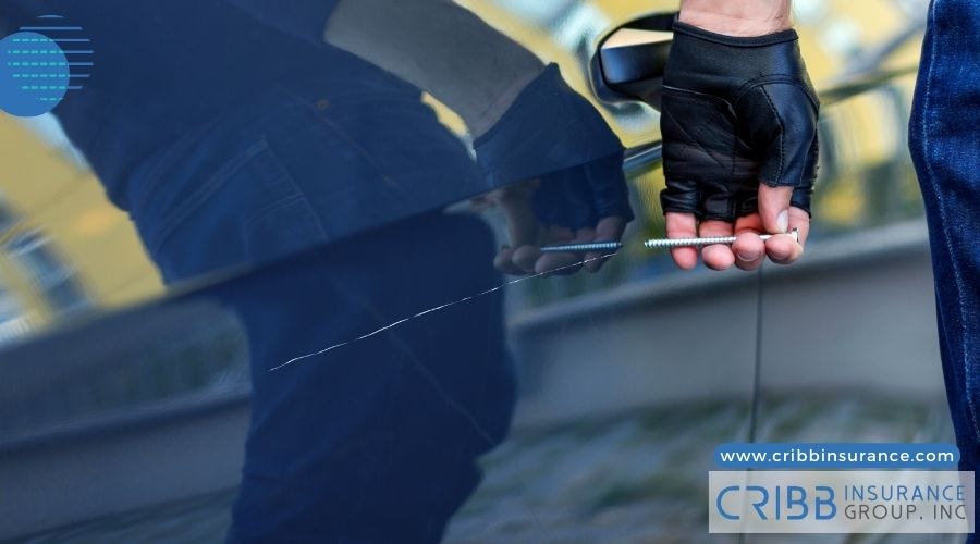 Does car insurance cover theft and vandalism? by Local Business