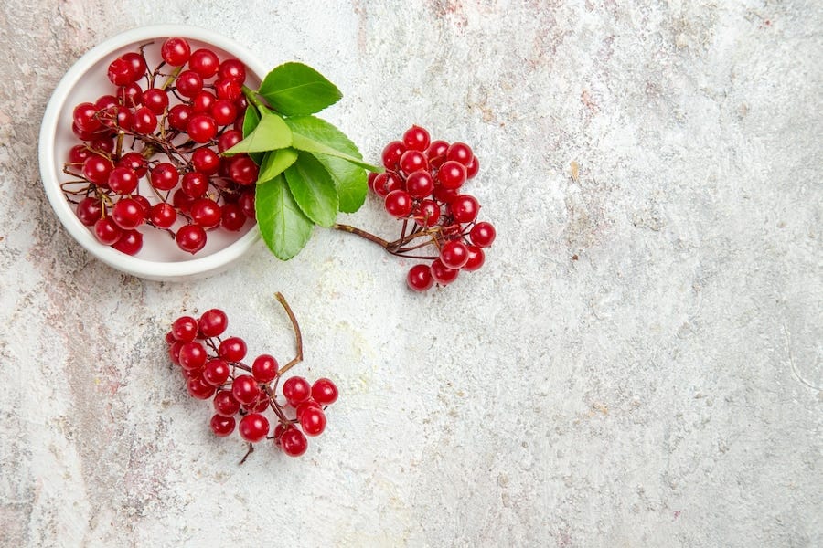 Cranberry Fruit Health Benefits And Nutritional Value by ToneOp Medium