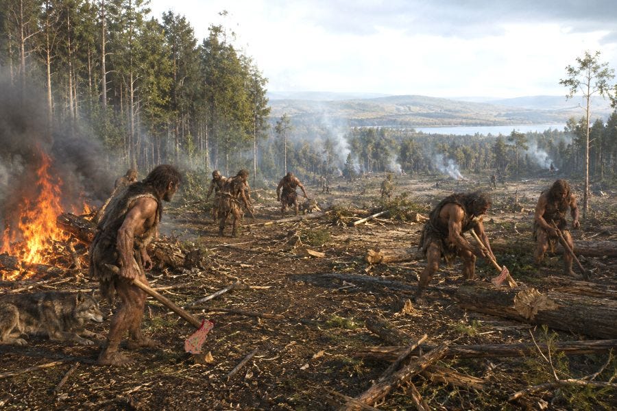Why did Neanderthals transform forests into grasslands?
