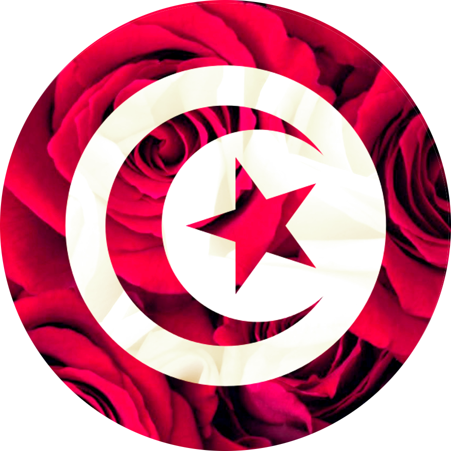Tunisia House: Turning Embassies into Engines of Opportunity