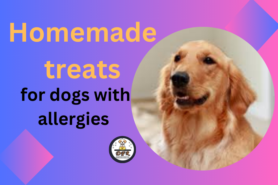 Homemade Treats for Dogs with Allergies Recipes & Tips by