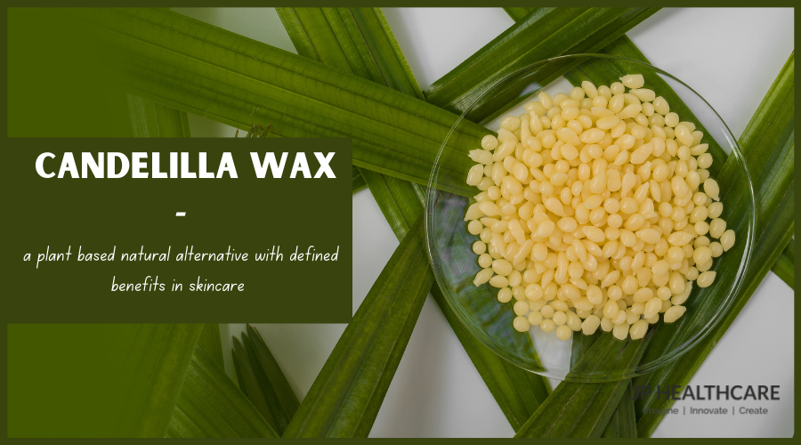 Candelilla wax benefits for you. You’ve tried a variety of skincare