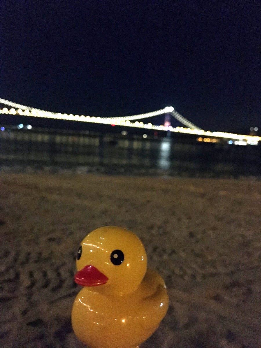 Lantern treats with friends (L) or a tranquil moment of oneself (R)_Photo by Oiseau Distrait