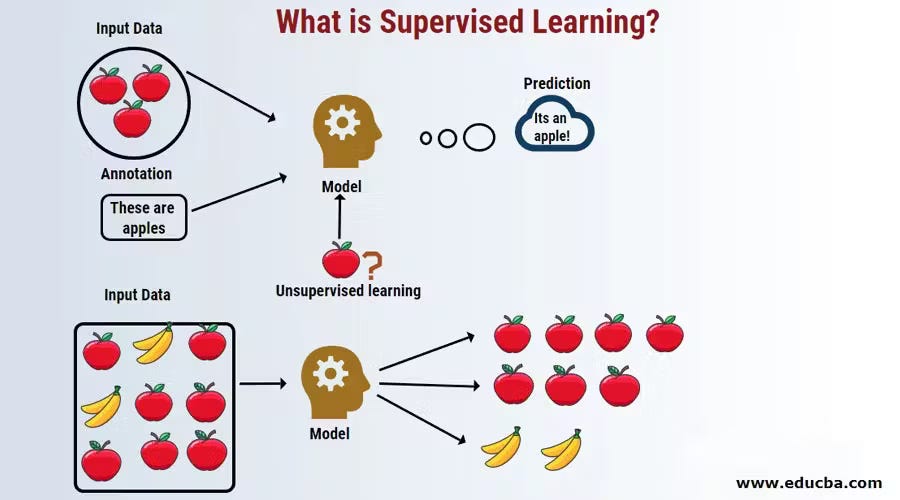 Machine Learning Basics: What You Need to Know | by Saikatbhattacharjee ...