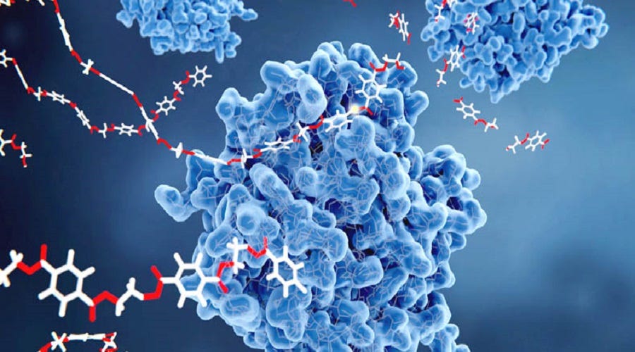 Enzymes Market Trends: Biotechnology Innovations and Industrial Applications Driving Growth