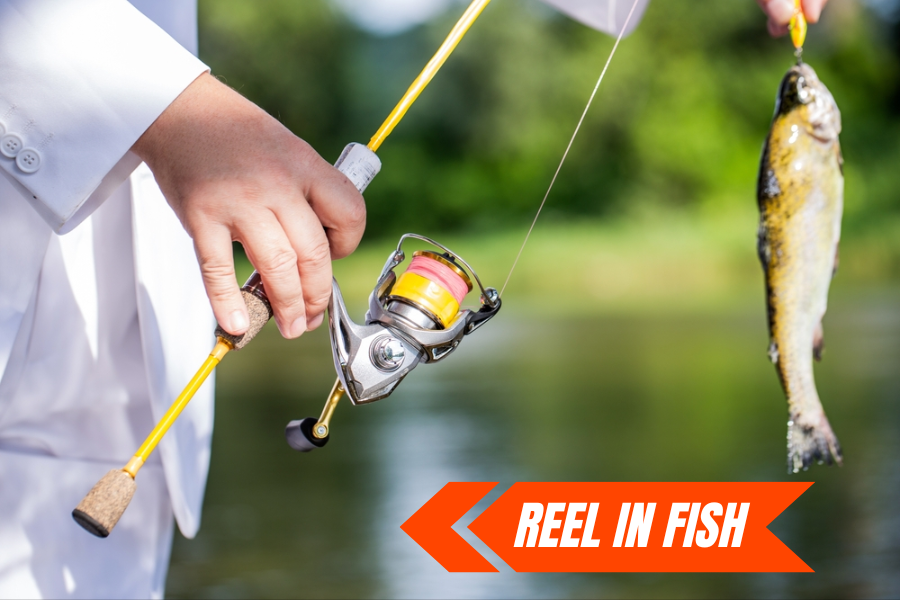 How to Reel in Fish: Expert Tips for a Successful Catch, by Fishesta