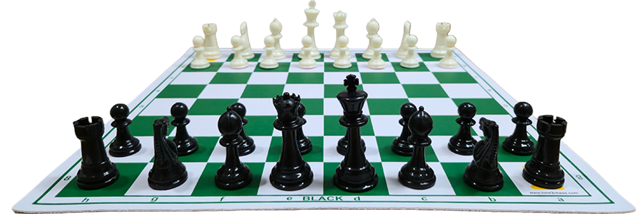 Comprehensive Chess Coaching Classes in Chennai